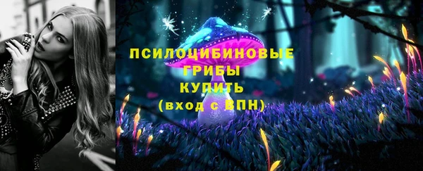 стафф Абдулино