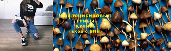 стафф Абдулино