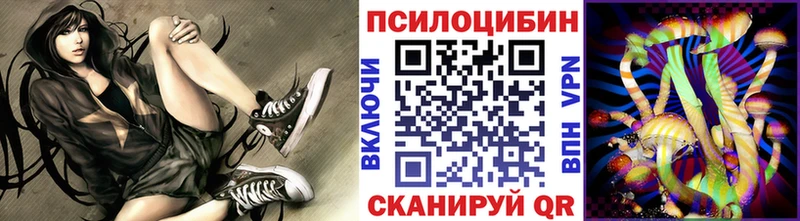 Псилоцибиновые грибы GOLDEN TEACHER  наркошоп  Таштагол 